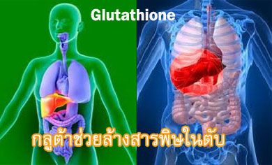 ผู้ที่สูบบุหรี่จัดจะพบว่ามีระดับ Glutathione ในเลือดต่ำ เนื่องจากอัตราในการใช้ Glutathione เพิ่มขึ้น